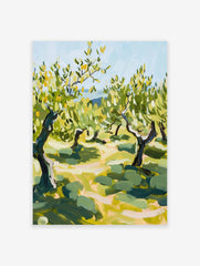 Olive Tree Poster