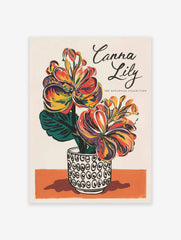 Canna Lily Poster