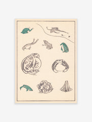 Japanese Frog Poster, Japanese Frog Varieties Print