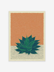 Green aloe vera succulent plant illustration on a textured orange and beige background art print