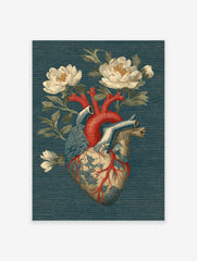 Anatomical heart illustration with red arteries and blue veins, surrounded by white flowers on a dark teal textured background.