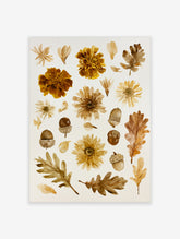 Autumn botanical wall art print with watercolour marigolds, oak leaves, and acorns on a white background