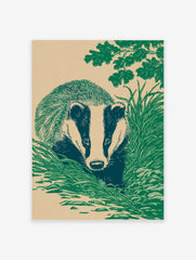 Illustrative linocut style print of a badger with striped face, hidden in green grass under oak leaves