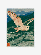 Barn owl in flight over terraced fields and mountains, green, blue, beige woodblock print style