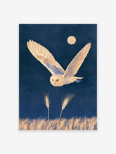 Barn owl in flight beneath a pale moon on a deep blue night sky poster with wheat stalks