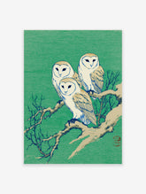 Three barn owls perched on a bare branch against a green background in a Japanese illustration style.