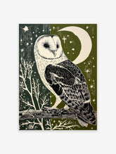 Barn owl illustration art print with a crescent moon and stars on a dark green and olive green background.