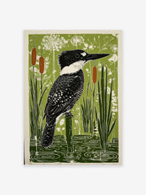 Belted Kingfisher bird perched on a post in a green wetland with cattails and water ripples art print
