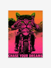 Neon pink and green biker cat poster with aviator goggles, motorcycle, and the text Chase Your Dreams