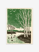 Illustrative art print of birch trees, ducks, and birds in a serene green and brown lake landscape