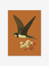 Vintage illustration of a swallow bird in flight with white flowers and red berries on a warm orange background.