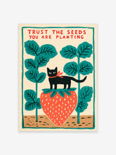 Colourful poster of a black cat with red bow on a large strawberry, teal leaves, and red text reading Trust The Seeds You