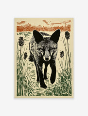 Black fox linocut print walking through green and brown reeds with an intense gaze, illustrative style