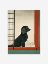 Black poodle sitting in a Japanese-style room with a shoji screen and red/green trim, looking out.