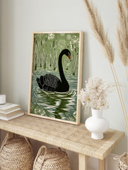 Black swan with red beak swimming in water with green cattails and white plants, in a linocut, in an alternate framed mockup