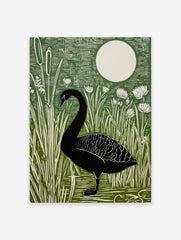 Black swan standing in water surrounded by green cattails and white flowers, with a large white moon