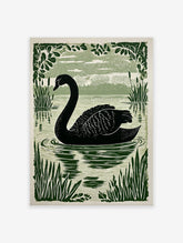 Black swan swimming in a lake, surrounded by green reeds and leafy branches in an illustrative style