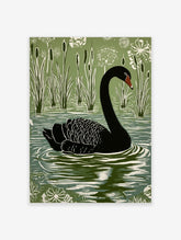 Black swan linocut style art print swimming in a lake with green reeds and white flowers