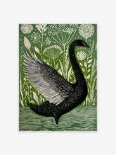 Black swan with fanned wing in illustrative green and white botanical art print, swimming in water