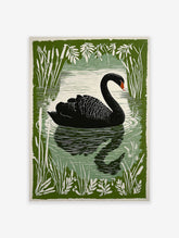 Black swan swimming in a pond, framed by green reeds and leaves, in an illustrative print style