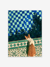 Ginger and white cat looking at blue and green checkerboard tile wall with leaf shadows art print