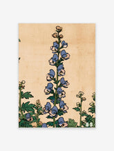 Vintage botanical illustration of blue monkshood flowers with green leaves on a tan background