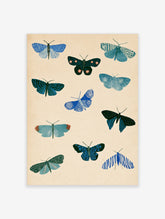 Blue moth and butterfly illustration poster with patterned wings on cream background