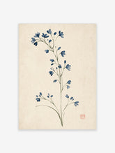 Blue wildflower botanical art print with slender green stems on cream background