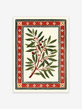 Botanical branch illustration with red berries and a geometric red border on a white background