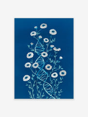 Botanical DNA illustration with white daisy-like flowers and a blue double helix on a dark blue background