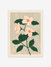 Botanical illustration featuring three soft pink flowers with green leaves on a textured light grey-green background