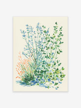 Botanical illustration art print of blue flowers, green herbs, and orange grasses on an off-white background.