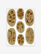 Seven brown botanical illustrations in oval shapes on a white background