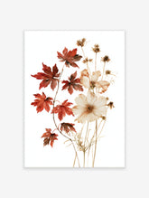 Botanical illustration of red maple leaves and cream cosmos flowers on a white background