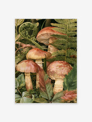 Detailed botanical illustration of mushrooms and ferns on a dark background, earthy tones, forest floor art print