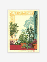 Botanical print of potted plants on a patio with strong shadows, featuring green foliage, red planters, and a blue window.