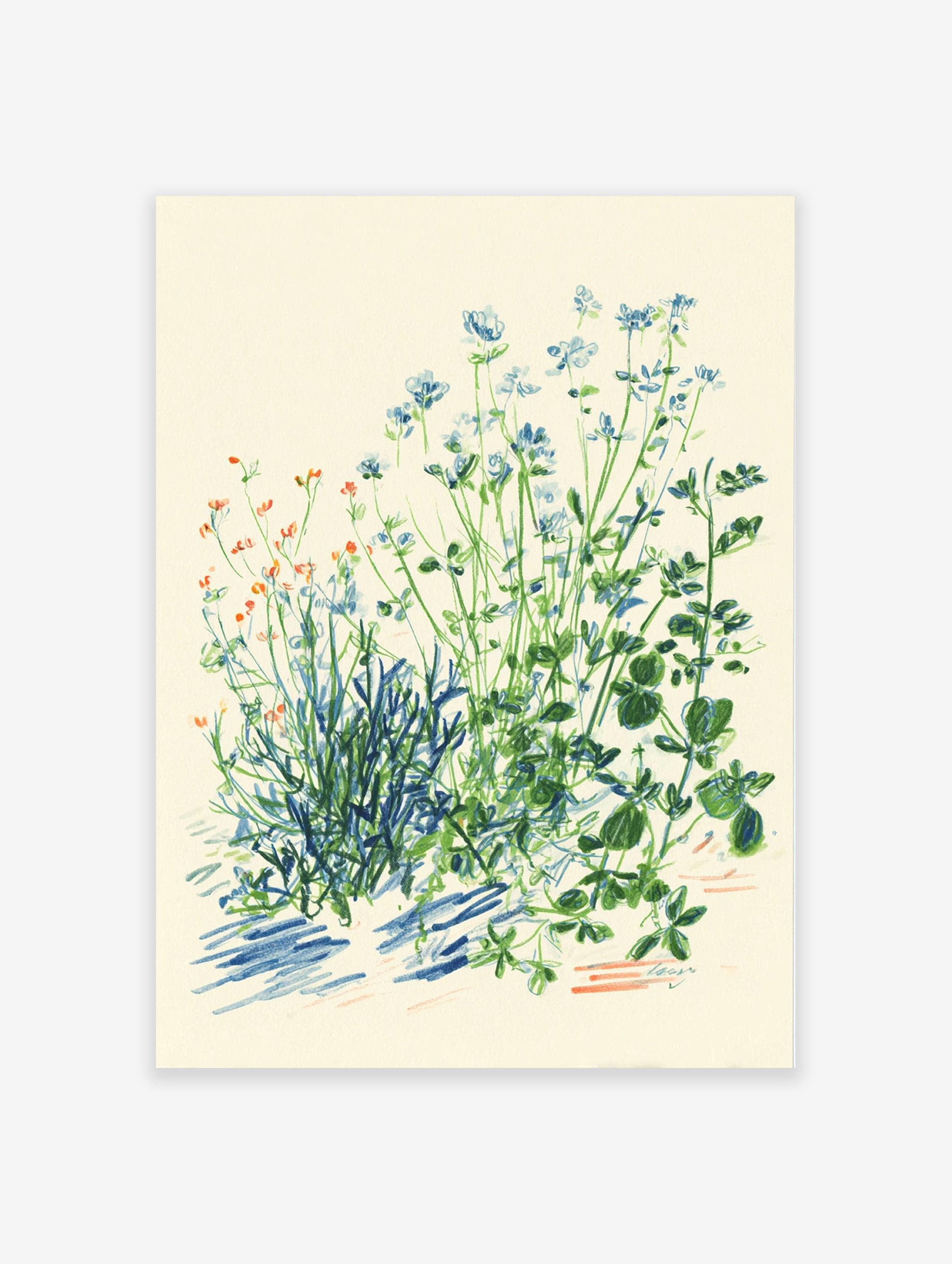 Botanical Wall Art featuring an illustration of blue and green wildflowers with orange accents, on a cream background.
