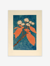 Botanical wall art print depicting a plant with round white flowers and large orange leaves on a blue textured background.