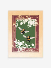 Vintage botanical illustration of two bumblebees flying among white flowers on a green background with a brown border.