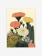 Illustrated cactus botanical poster with red, yellow, and cream flowers and green and black cacti on a light background.