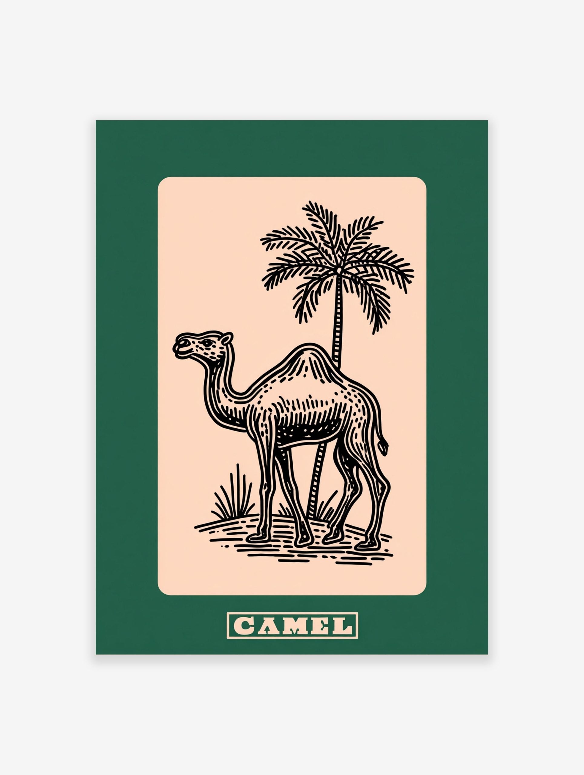 Black line art illustration of a camel and palm tree on beige, with a dark green border. CAMEL text below