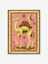 Illustrative camel with ornate saddle, crescent moon, and stars on pink background with green border