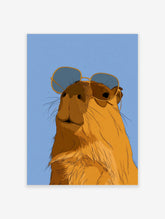 Illustrated capybara wearing oversized sunglasses against a solid blue background