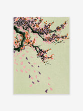 Cherry blossom branch with pink and purple petals falling on pale green background, Japanese floral art print