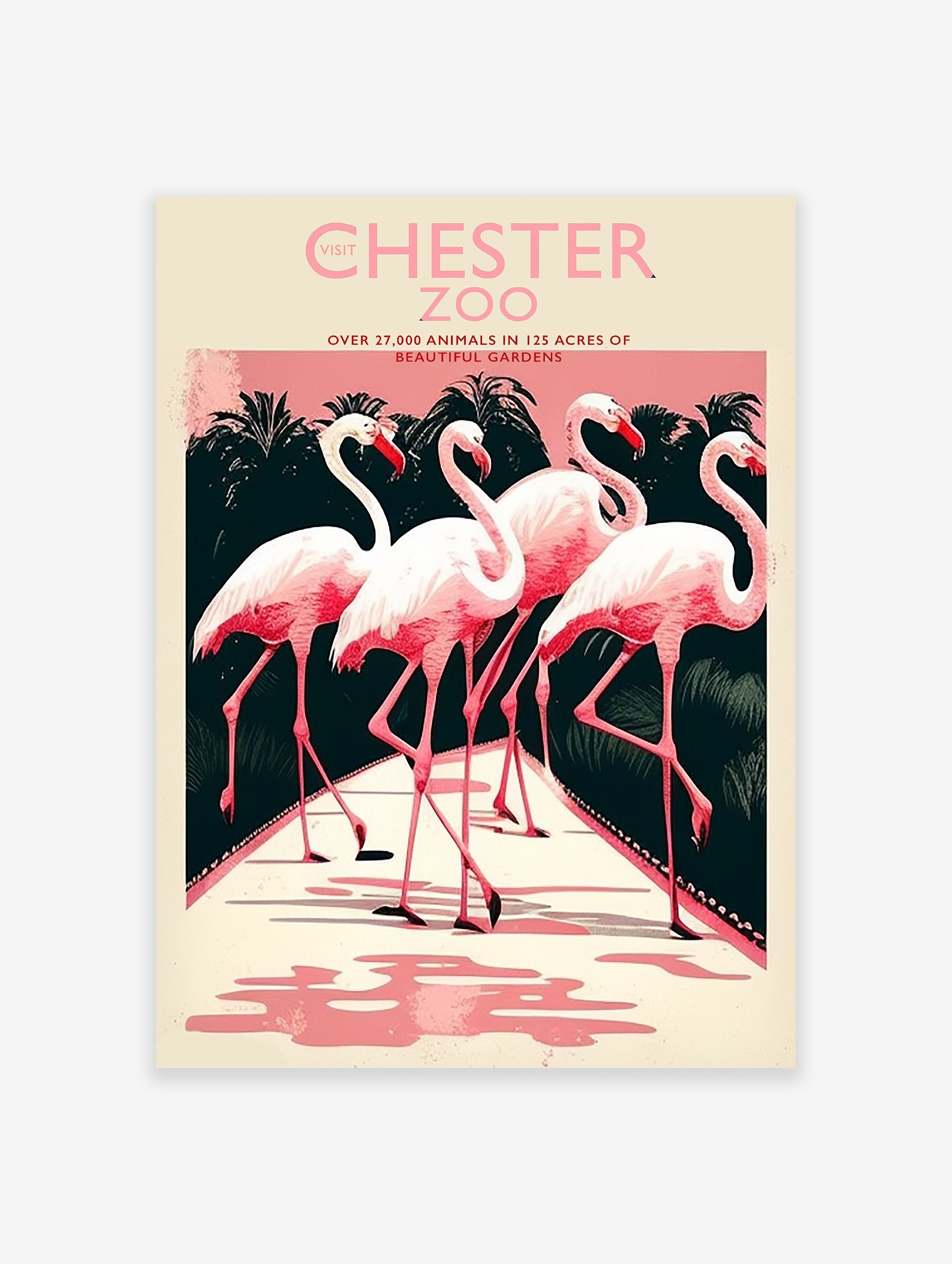 Chester Zoo poster with vintage illustration of four pink flamingos on a path with dark tropical foliage and a pink sky.