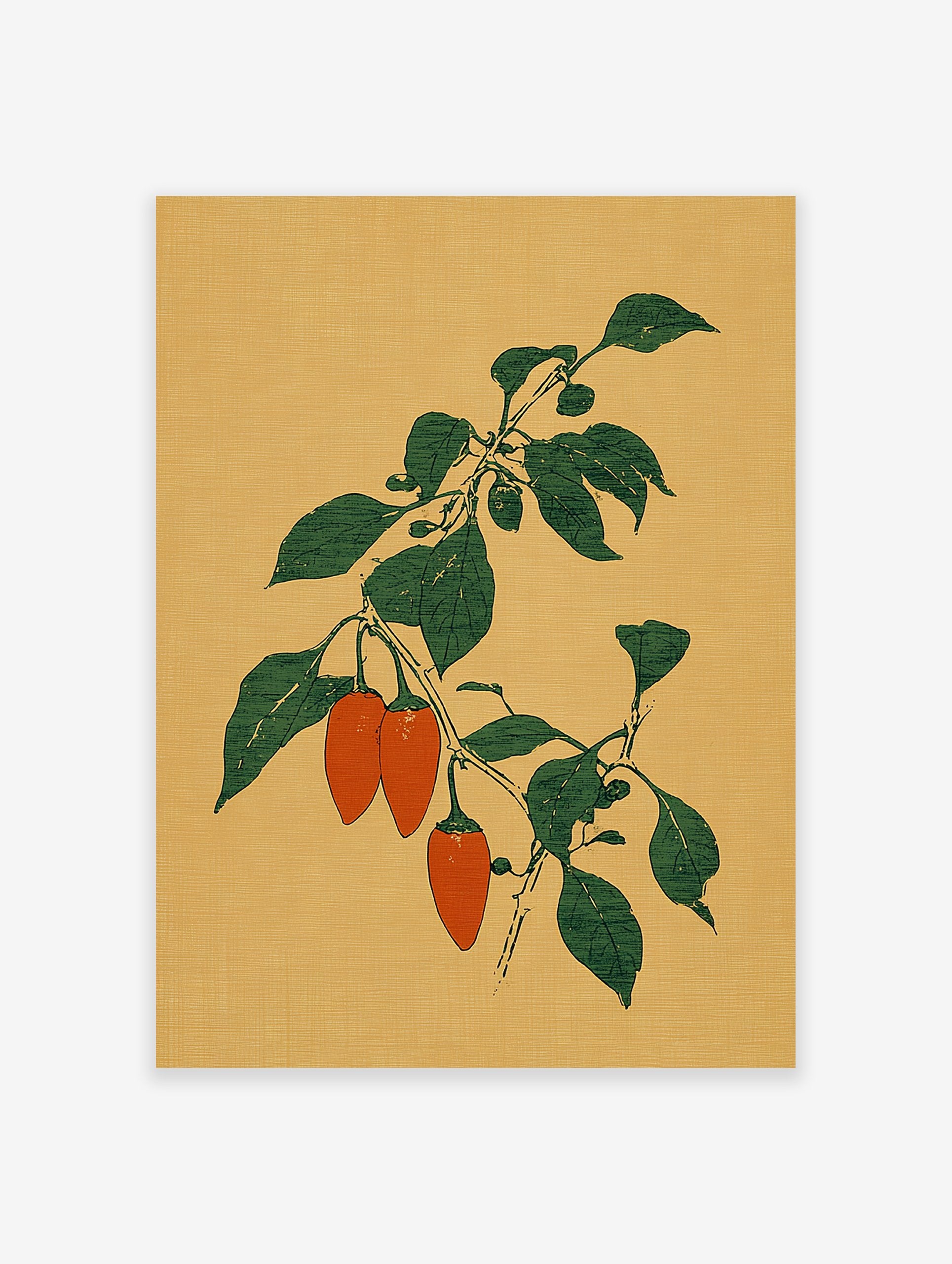 Botanical illustration of orange chili peppers on a green leafy branch against a textured mustard yellow background.
