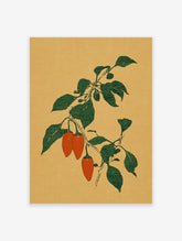 Botanical illustration of orange chili peppers on a green leafy branch against a textured mustard yellow background.