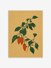 Botanical illustration of orange chili peppers on a green leafy branch against a textured mustard yellow background.
