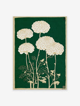 Japanese chrysanthemum botanical illustration art print with white and gold flowers on a deep green background.