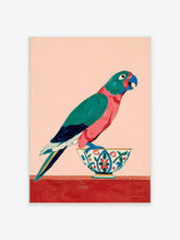 Colourful parrot with teal and pink feathers standing on a decorative bowl against a pale pink background